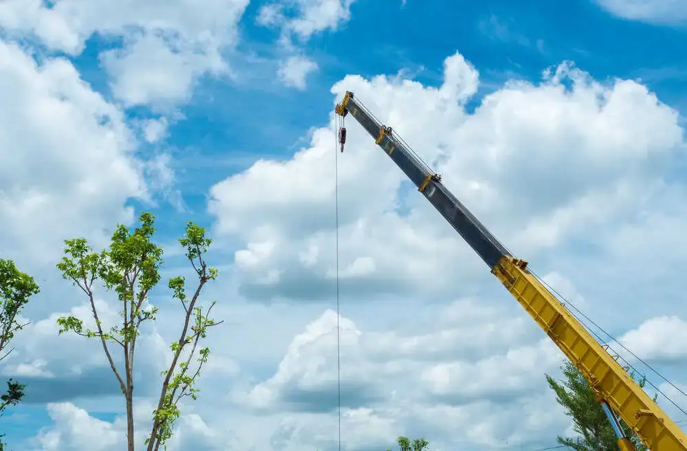 Commercial Tree Care & Removal | Crane-Assisted Tree Removal