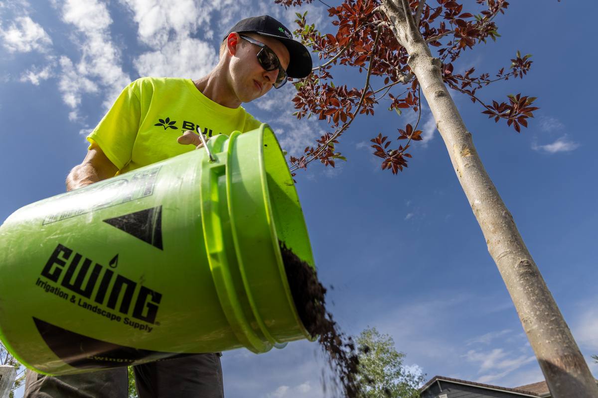 Tree service in Altona