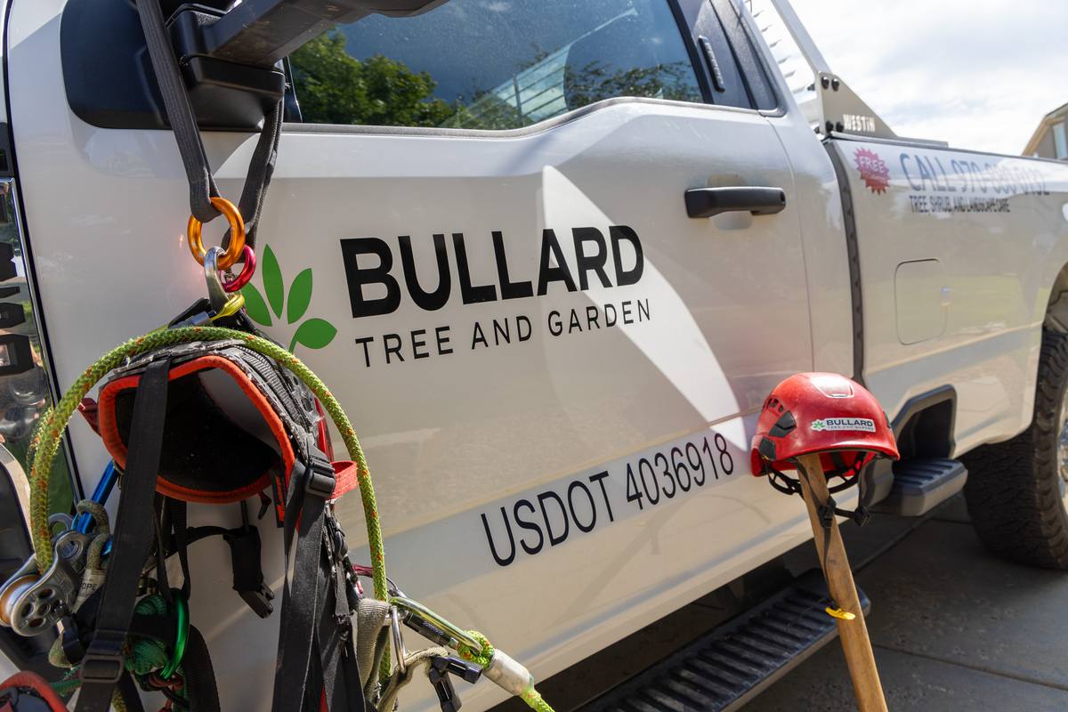 Equipment used by certified arborists from Bullard Tree and Garden, including safety harness and helmet, attached to a company truck in Boulder, providing expert tree care services.