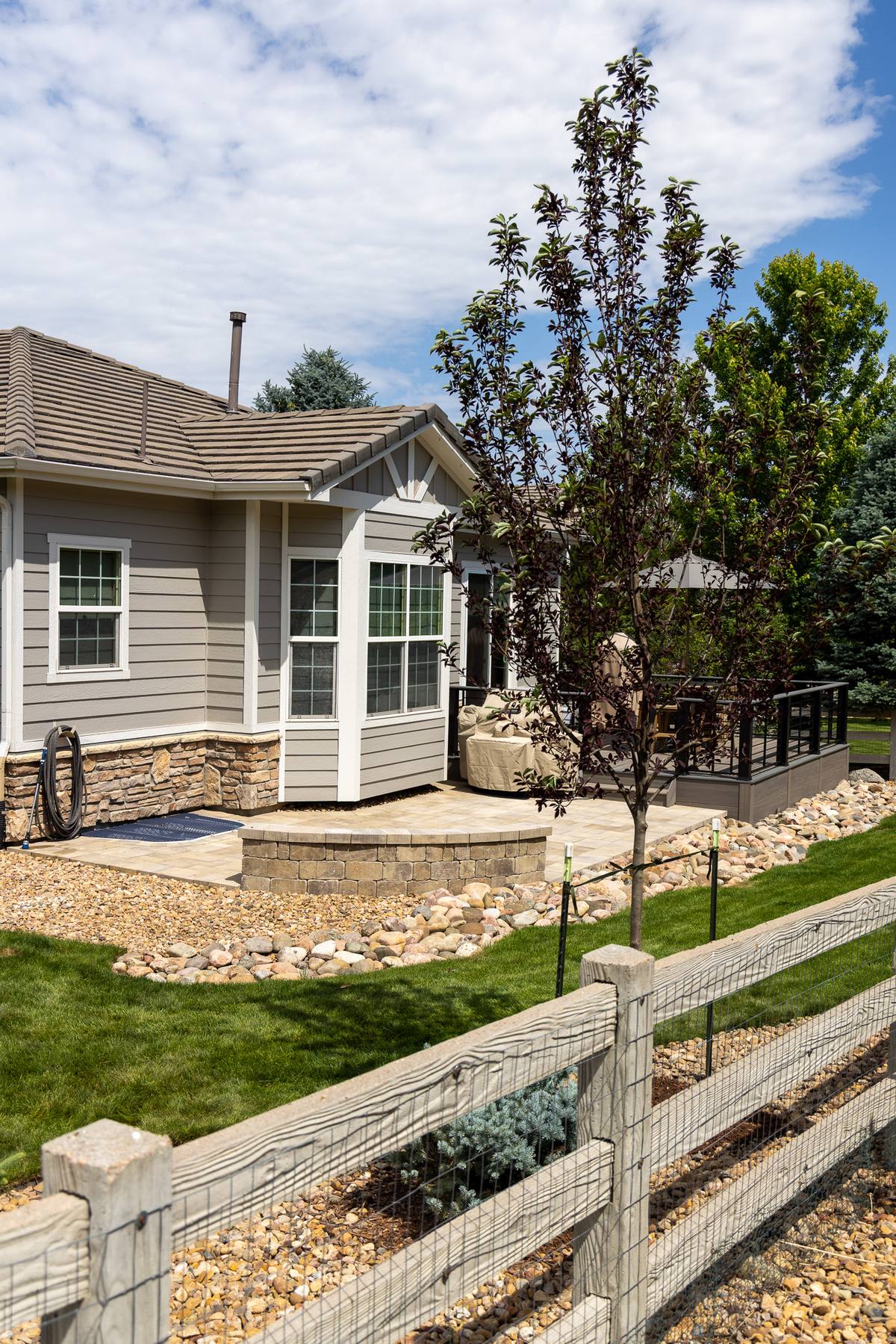 Certified arborist performing plant healthcare assessment