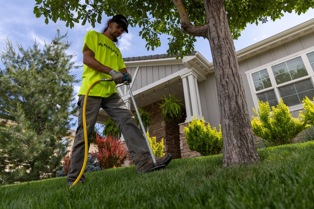 Tree service professional using specialized equipment for tree care in a well-maintained residential garden. The worker wears a bright yellow shirt with Bullard Tree &amp; Garden branding, indicating expertise in Boulder's tree service industry. The scene includes a healthy lawn, a mature tree, and a house with attractive landscaping.