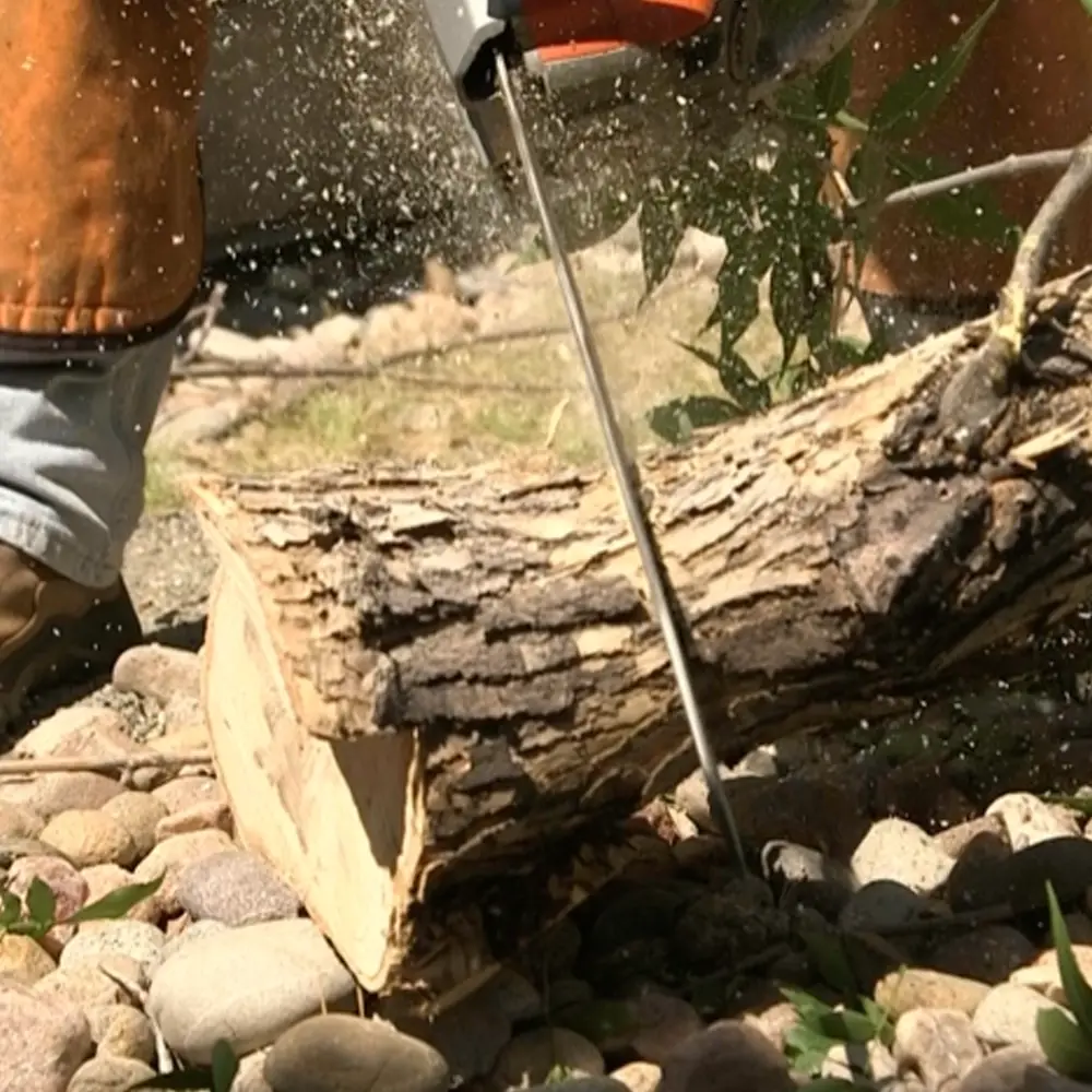 Professional tree service worker using a chainsaw to cut a tree branch on a rocky surface.
