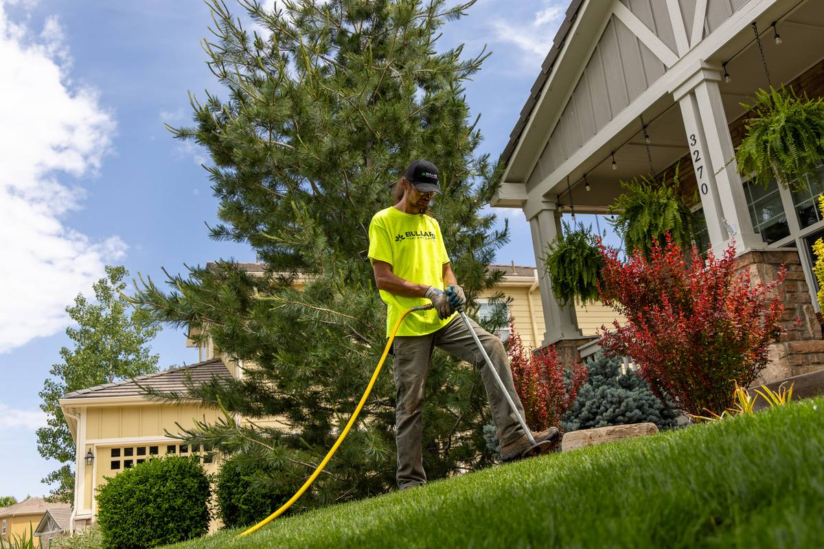 Tree service professional using specialized equipment for tree care in a well-maintained residential garden. The worker wears a bright yellow shirt with Bullard Tree &amp; Garden branding, indicating expertise in Boulder&#x27;s tree service industry. The scene includes a healthy lawn, a mature tree, and a house with attractive landscaping.