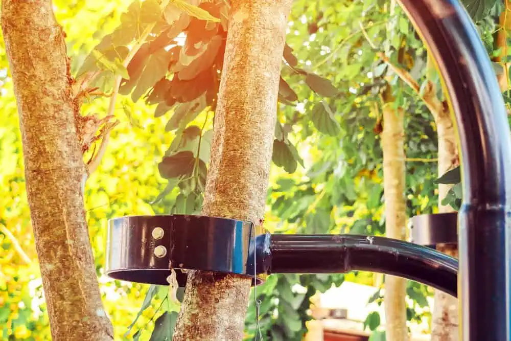 Professional Tree Inspection & Safety Services for Boulder Property