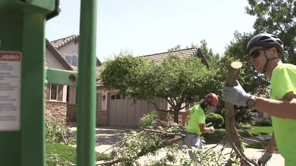 Tree service in Gooding