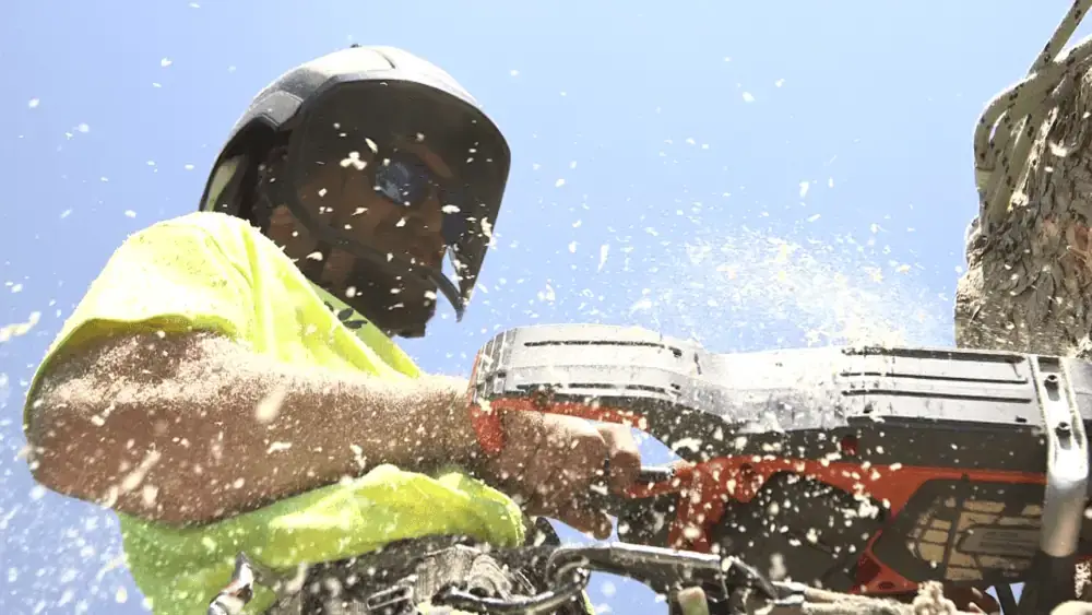 Bullard Tree & Garden performing tree trimming services at a commercial property in Boulder County.