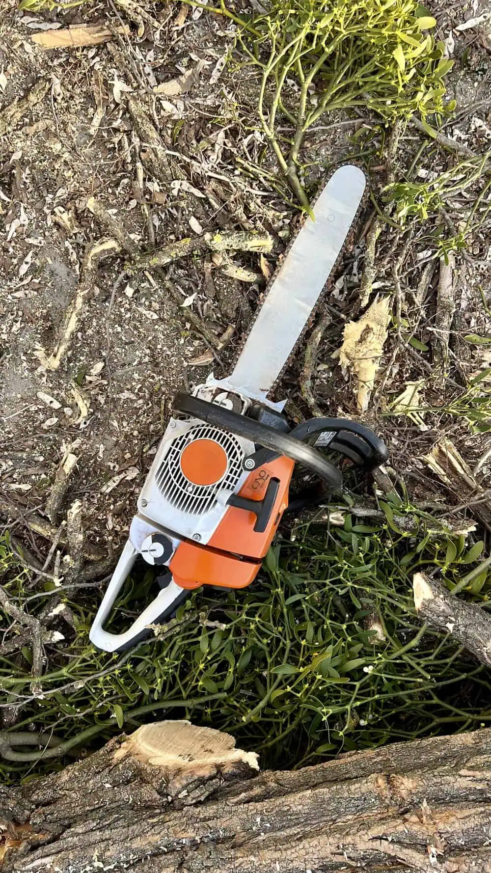 Chainsaw resting on the ground among cut tree branches, highlighting professional tree removal services and expert care.