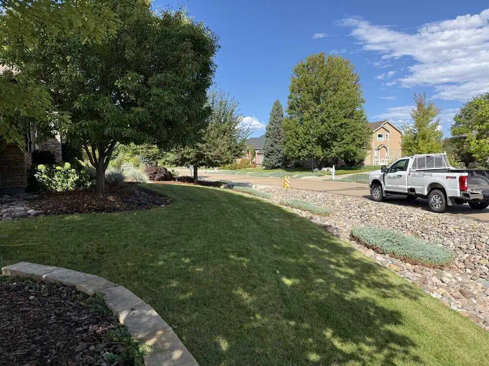 Expert Arborist Consulting in Boulder County | Bullard Tree & Garden