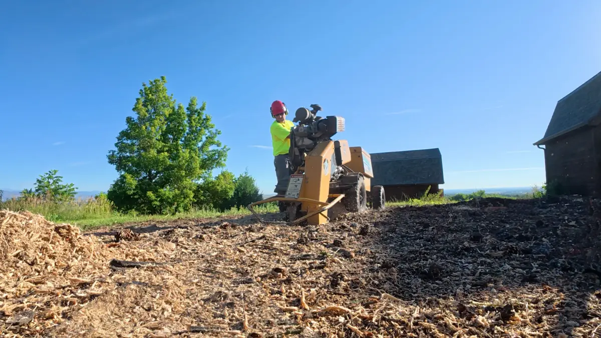 Tree service in Firestone