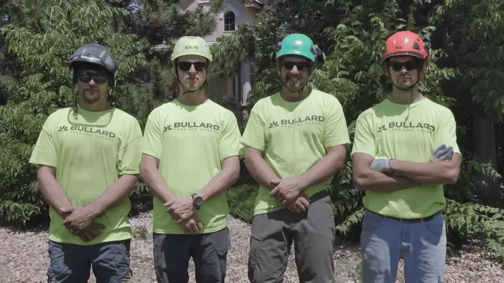 Bullard Tree & Garden team in professional safety gear