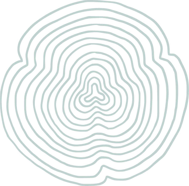 Tree ring illustration representing professional tree management and certified arborist services. Features concentric circles symbolizing tree growth rings, highlighting expertise in tree care and analysis.