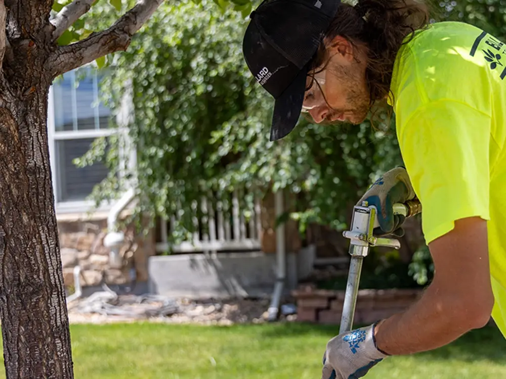 Tree service in Firestone